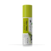 Szminki - Dr. Organic Tea Tree  Lip Balm (5,7 ML, 16 sztuk) DRC09008SB - miniaturka - grafika 1