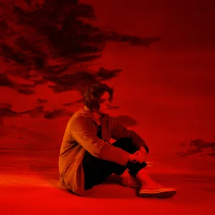 DIVINELY UNINSPIRED TO A HELLISH EXTENT LP Lewis Capaldi Płyta winylowa) - Pop - miniaturka - grafika 2