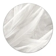 Deski do krojenia - Szklana podkładka na pizzę Piękne białe pióra fi40, Coloray - miniaturka - grafika 1