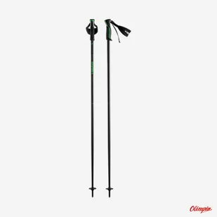 Kije narciarskie HEAD FRONTSIDE anthracite/green 2023/2024 - Kijki narciarskie - miniaturka - grafika 1