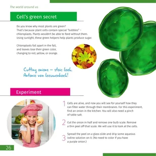 (EN) Mikroskop Discovery Centi 02 z książką - Mikroskopy i lupy - miniaturka - grafika 5