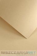 Papier do drukarek - Papier ozdobny Nature Ciemnobeżowy 120g/m2 - opk 50ark/A4 - miniaturka - grafika 1