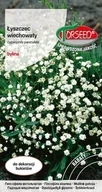 Nasiona i cebule - Nasiona Łyszczec wiechowaty biały 0,5g - Torseed - miniaturka - grafika 1
