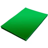 Okładki do laminatorów i bindownic - Okładka foliowa do bindowania A4 NATUNA zielona przezroczysta 0,20mm (100szt) - miniaturka - grafika 1