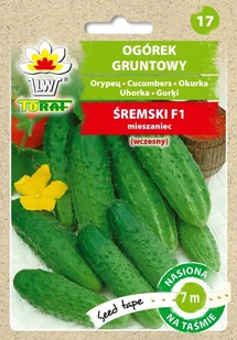 Ogórek Śremski F1 Na Taśmie - Nasiona i cebule - miniaturka - grafika 1