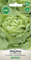Nasiona i cebule - Sałata Masłowa Adinal 1g nasiona - WegAna - miniaturka - grafika 1