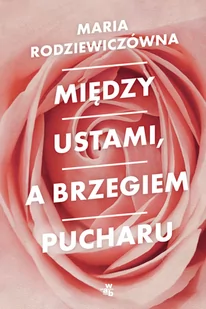 Między ustami a brzegiem pucharu - Opowiadania - miniaturka - grafika 1
