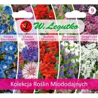 Nasiona i cebule - Kolekcja Roślin Miododajnych - miniaturka - grafika 1