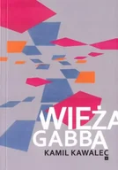 Poezja - Wieża Gabba - Kamil Kawalewc - miniaturka - grafika 1