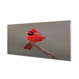 Panel ścienny Czerwona papuga na gałęzi 120x60 cm - Dekoracje domu - miniaturka - grafika 1