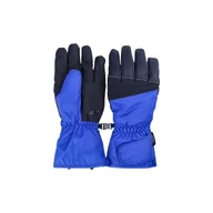 Rękawiczki - Rękawice narciarskie 4F Thinsulate męskie AFGLM107-32S - miniaturka - grafika 1