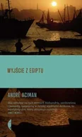 Literatura obyczajowa - Wyjście z Egiptu - miniaturka - grafika 1