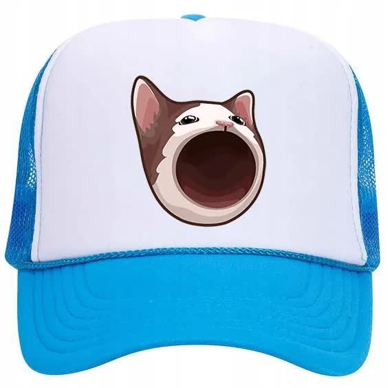 Czapka Niebieska Daszek Na Wiosnę Kotki POPCAT Wz