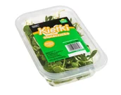 Warzywa świeże i suszone - Pokarm życia - Kiełki słonecznika - miniaturka - grafika 1