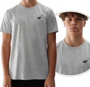 T-shirt bawełniany regular gładki męski 4F 4FWSS24TTSHM1154-27M Szary - Koszulki męskie T-shirt bawełniany regular gładki męski 4F 4FWSS24TTSHM1154-27M Szary - Koszulki męskie - miniaturka - grafika 1