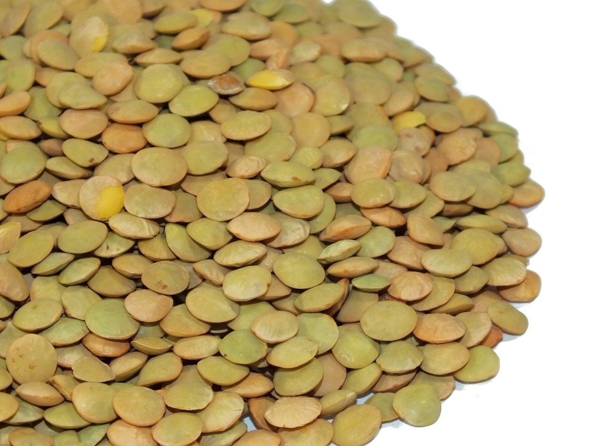 Soczewica ZIELONA ziarno 1 kg DUŻA PAKA