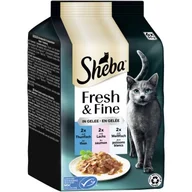 Mokra karma dla kotów - Sheba Wielopak Fresh & Fine 36 x 50 g w galaretce Tuńczyk, łosoś i biała ryba - miniaturka - grafika 1