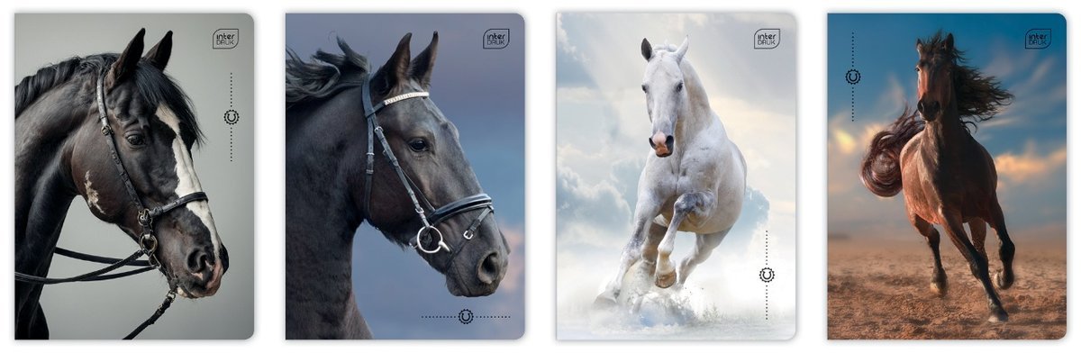INTERDRUK Szkolny Zeszyt A5 KRATKA 32 Kartki w Kratkę Wild Horses KOŃ Konik MIX
