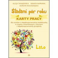 Pedagogika i dydaktyka - Śladami pór roku - Lato. Karty pracy w.2022 - miniaturka - grafika 1