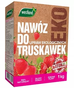 Nawóz organiczny do truskawek 1 kg Westland - Nawozy ogrodnicze Nawóz organiczny do truskawek 1 kg Westland - Nawozy ogrodnicze - miniaturka - grafika 1