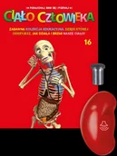 Czasopisma - Posłuchaj Baw się i Poznaj Ciało Człowieka - miniaturka - grafika 1