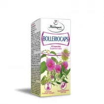 Herbapol Bolleriocaps 30 kap - Suplementy naturalne - miniaturka - grafika 2