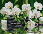 Malowanie po numerach - Artnapi 40x50cm Obraz Do Malowania Po Numerach Na Drewnianej Ramie - Storczyki w wodzie - miniaturka - grafika 1