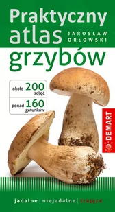 Praktyczny Atlas Grzybów Jarosław Orłowski - Słowniki języków obcych - miniaturka - grafika 1