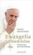 Religia i religioznawstwo - Ewangelia niedzielna komentowana przez Ojca - miniaturka - grafika 1