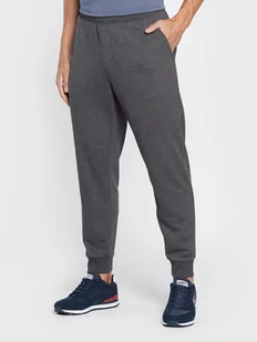 Skechers Spodnie dresowe Expedition M1PT57 Szary Regular Fit - Spodnie sportowe męskie - miniaturka - grafika 1