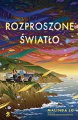 Literatura obyczajowa - Rozproszone światło - miniaturka - grafika 1