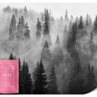 Fototapety - FOTOTAPETA DO SYPIALNI CZARNO-BIAŁY LAS WE MGLE KRAJOBRAZ NATURA 3D 400x280 - miniaturka - grafika 1