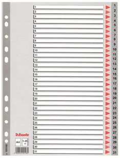 Esselte Przekładki PCV szare A4 1-31 100108 - Przekładki do segregatorów - miniaturka - grafika 1
