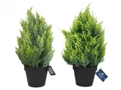 Sztuczne kwiaty - SZTUCZNA ROŚLINA W DONICZCE -DEKORACYJNY KRZEW 2 WZORY - miniaturka - grafika 1