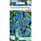 Nasiona i cebule - w.legutko - miniaturka - grafika 1