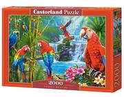 Puzzle - puzzle 2000 el. parrot meeting - miniaturka - grafika 1