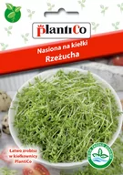 Nasiona i cebule - Plantico Nasiona na Kiełki rzeżuchy - miniaturka - grafika 1