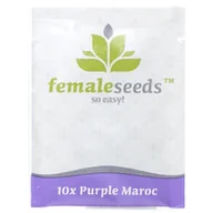 Nasiona i cebule - Nasiona konopi Female seeds - Purple Maroc (Fem.) 10szt. - miniaturka - grafika 1