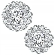 Kolczyki - Kolczyki Srebrne Kolczyki Kwiatki Moissanit Srebro 925 Kolczyki Trusky - miniaturka - grafika 1