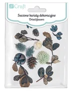 Scrapbooking - Dpcraft, Suszone Owoc Liście Deko 14szt - miniaturka - grafika 1
