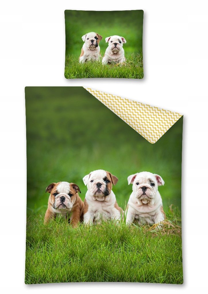 pościel młodzieżowa 160x200 Pies Psy Dog Buldog angielski bawełniana