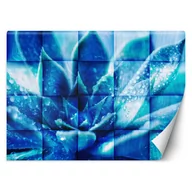 Fototapety - Fototapeta, Niebieski kwiat (Rozmiar 100x70) - miniaturka - grafika 1