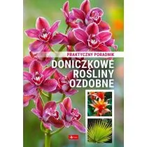 Doniczkowe rośliny ozdobne. Poradnik praktyczny - Dom i ogród - miniaturka - grafika 1