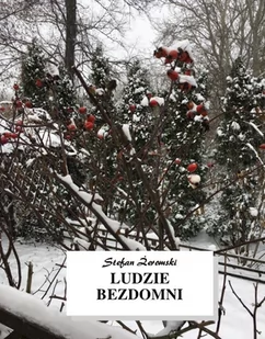 Ludzie bezdomni - E-booki - lektury - miniaturka - grafika 1