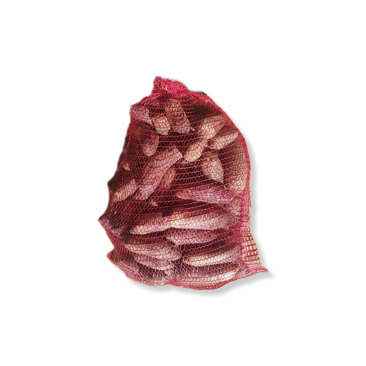 Burak podłużny świeży Polska 10 kg