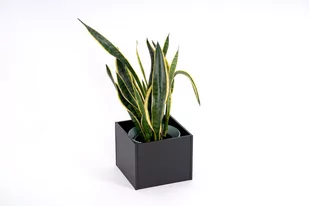 Donica Metalowa Rodos Na Parapet 25 Cm, Czarna - Donice - miniaturka - grafika 1