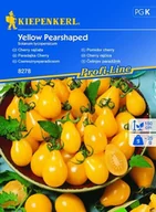 Nasiona i cebule - Pomidor Cherry Yellow Pearshaped – Kiepenkerl - miniaturka - grafika 1