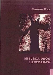 Miejsca dróg i przepraw - Poezja - miniaturka - grafika 1