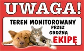 Akcesoria BHP - Tabliczka TEREN MONITOROWANY PIES KOT JA TU PILNUJĘ prezent gadżet 12x20cm - miniaturka - grafika 1