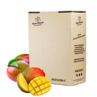Soki i napoje niegazowane - Sok Tłoczony 100% MANGO NFC Przecier Puree 5L - miniaturka - grafika 1